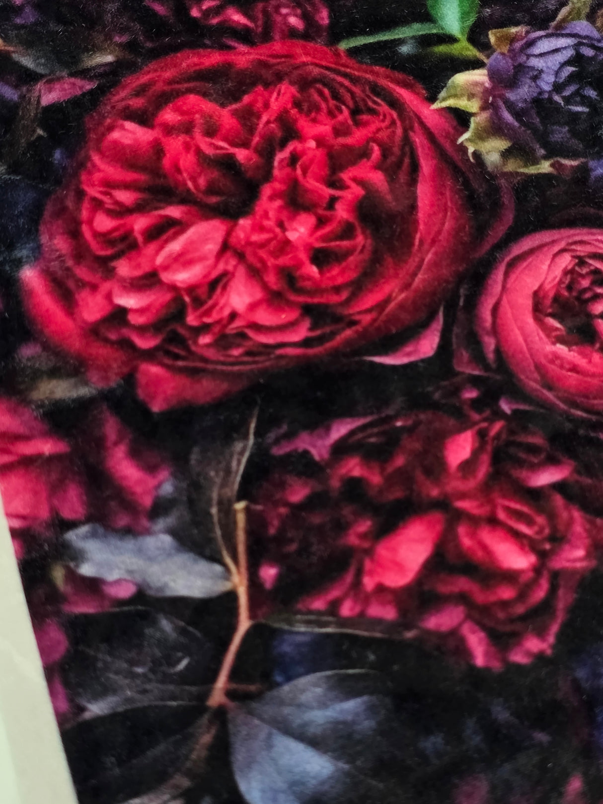 Velvet Sew-on Applique Peonies
