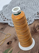 Madeira Aero Quilt Multicolor Quilting Thread col. 9507