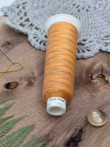 Madeira Aero Quilt Multicolor Quilting Thread col. 9507