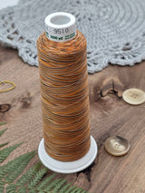 Madeira Aero Quilt Multicolor Quilting Thread col. 9510