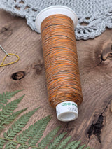 Madeira Aero Quilt Multicolor Quilting Thread col. 9510