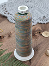 Madeira Aero Quilt Multicolor Quilting Thread col. 9603